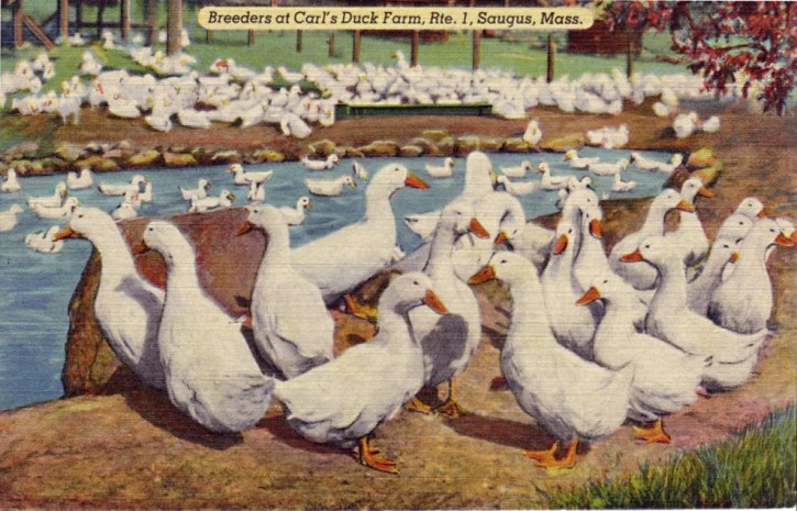 A painting of Carl's Duck Farm